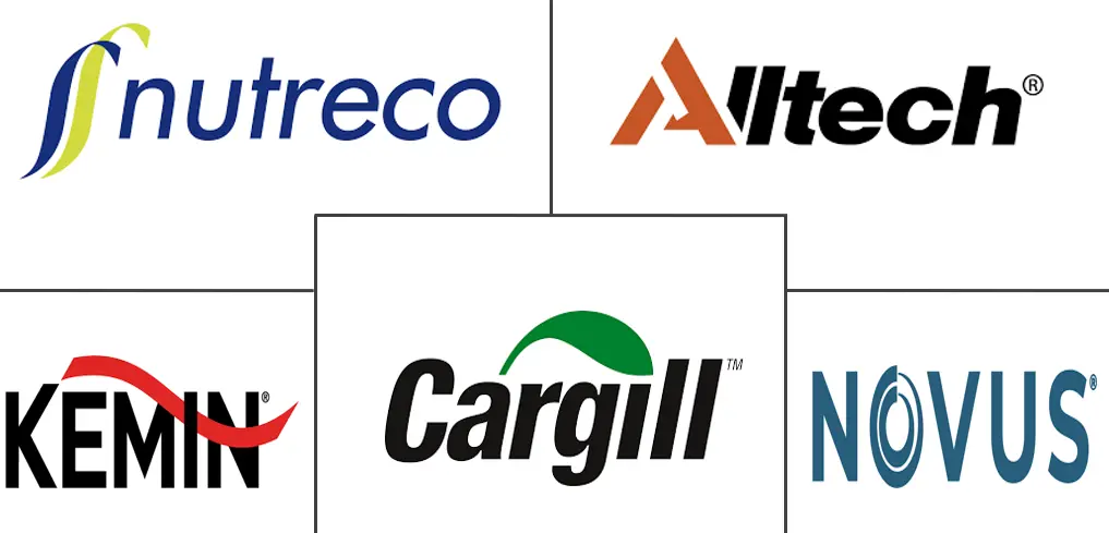 Major players in Africa Poultry Feed industry