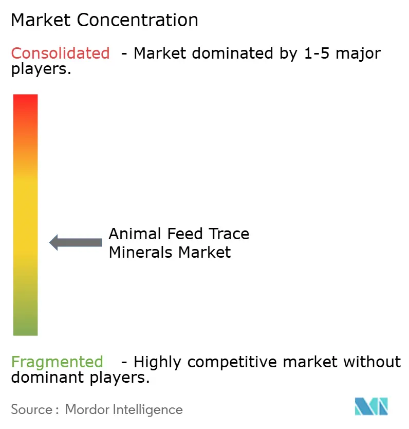 Animal Feed Trace Minerals Market Concentration