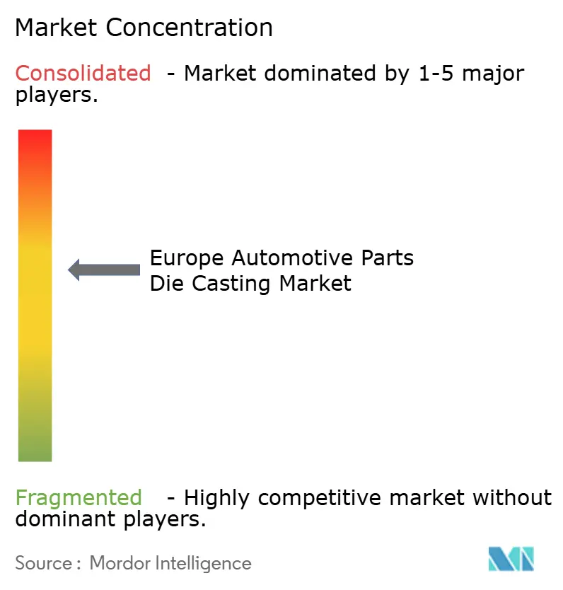 Europe Automotive Parts Die Casting Market Concentration