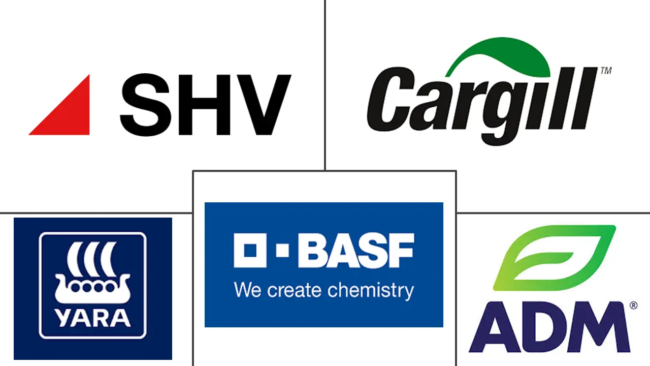 Major players in Europe Feed Minerals industry