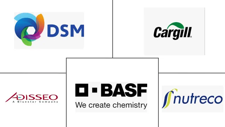 Major players in Feed Acidifiers industry
