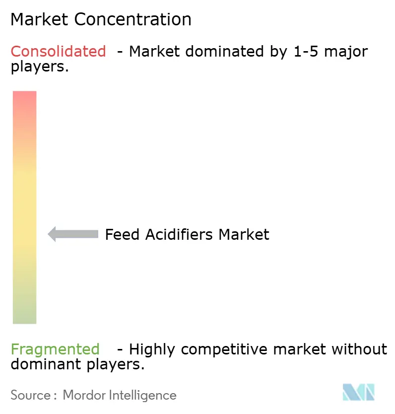 Feed Acidifiers Market