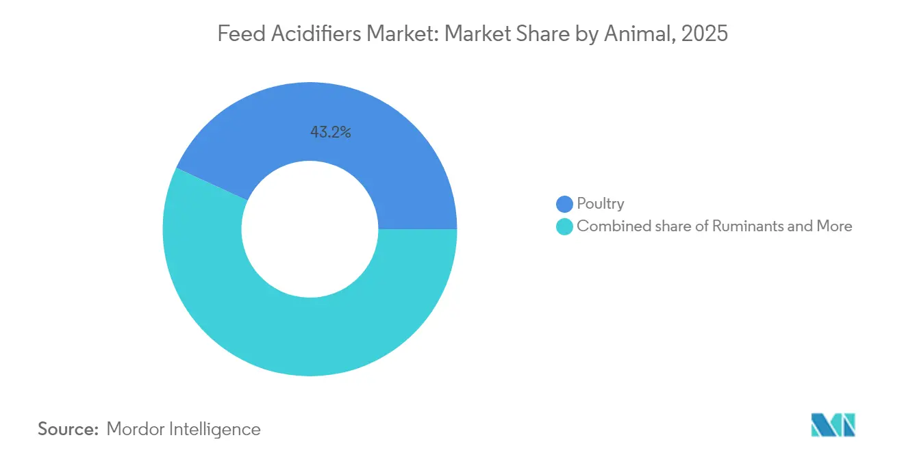 Feed Acidifiers Market: Market Share by Animal, 2025