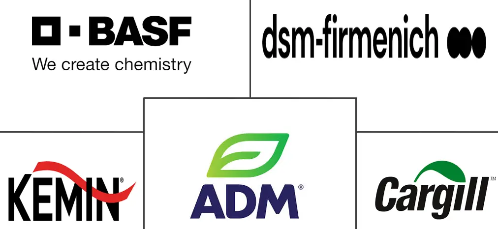 Major players in Feed Carotenoids industry