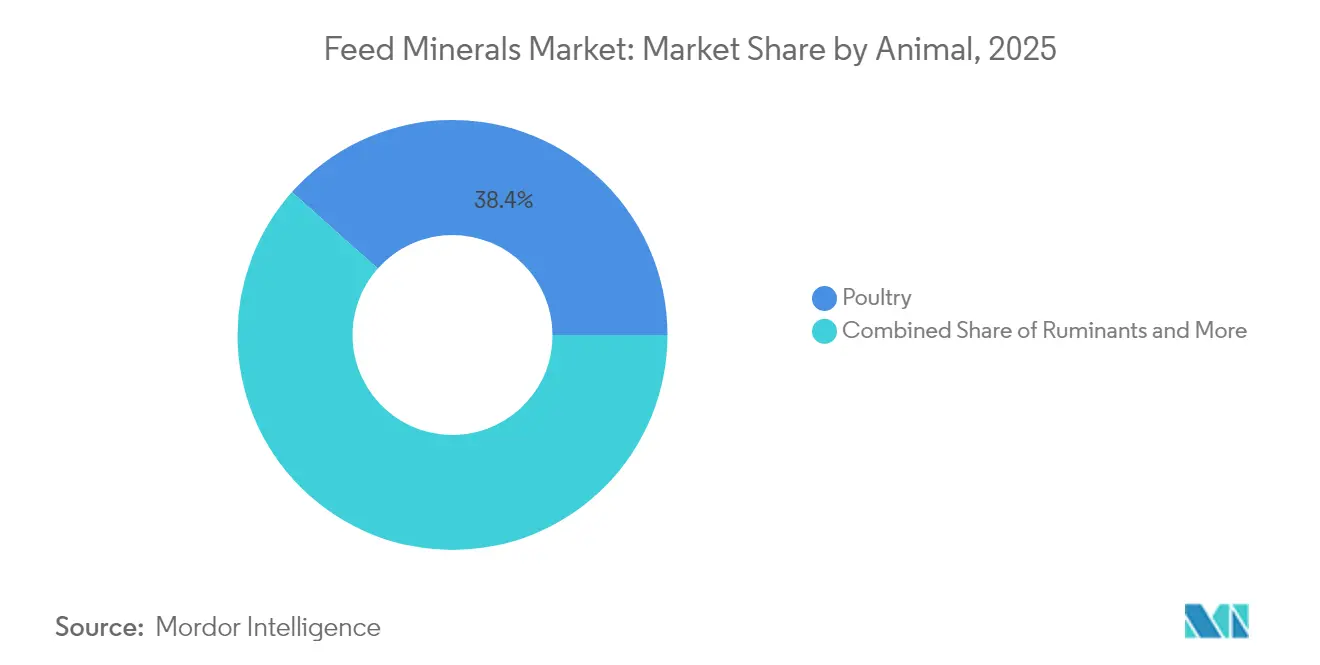 Feed Minerals Market: Market Share by Animal, 2025