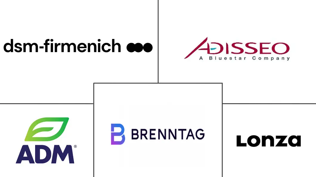 Major players in Feed Vitamins industry