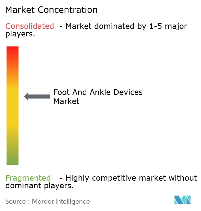 Foot and Ankle Devices Market Concentration
