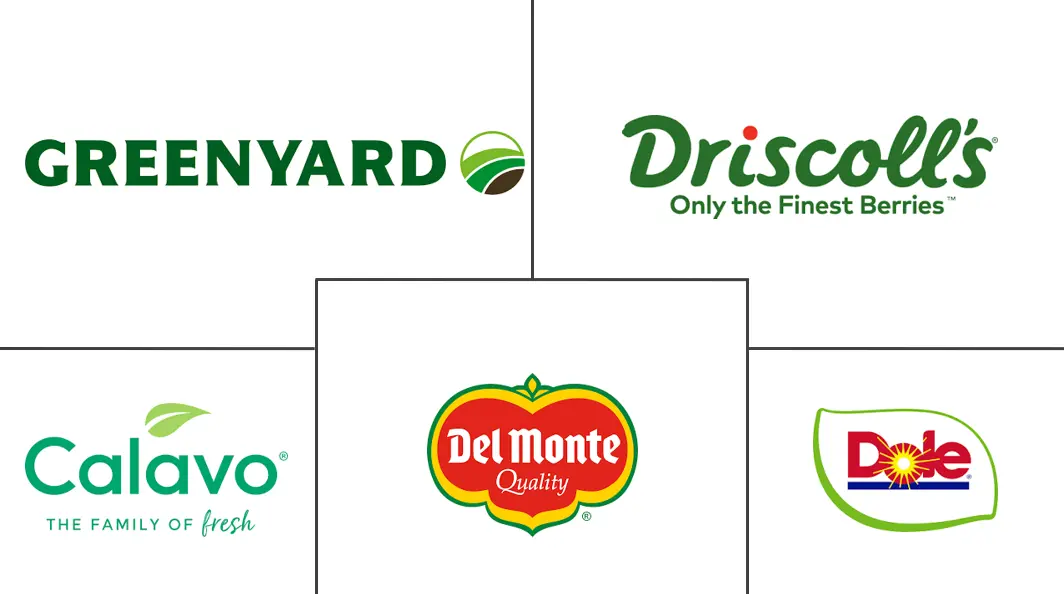 Major players in Organic Fruits And Vegetables industry