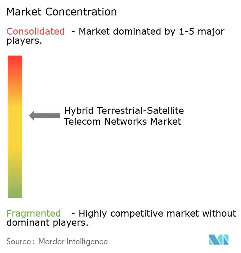 Hybrid Terrestrial-Satellite Telecom Networks Market Concentration