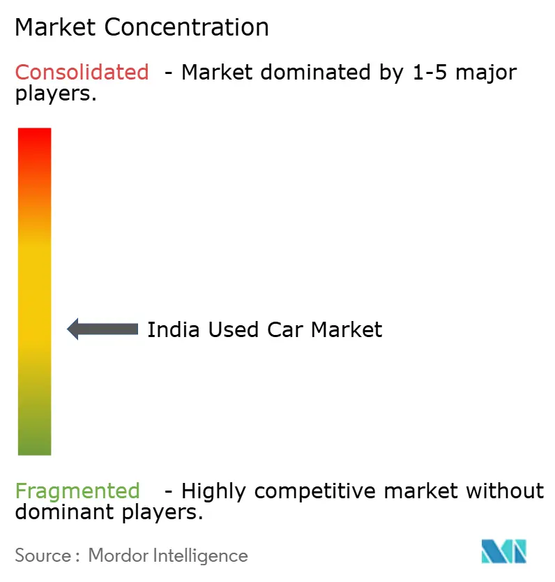 India Used Car Market Concentration