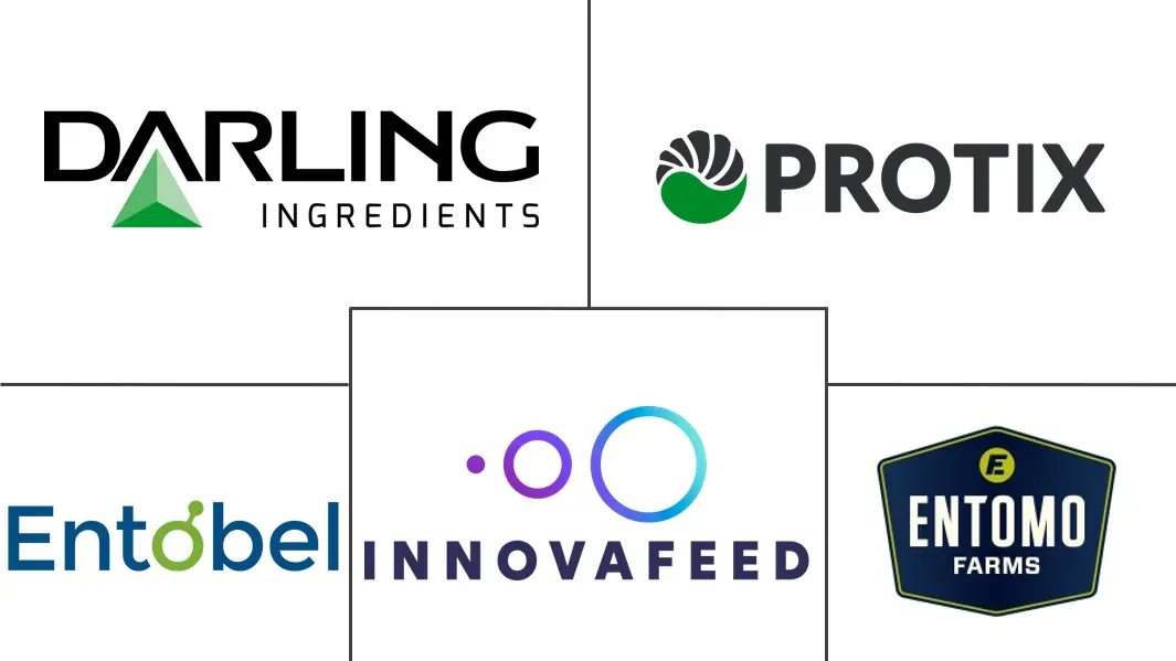 Major players in Insect Feed industry