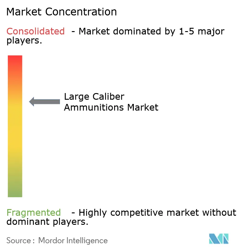 Large Caliber Ammunitions Market Concentration