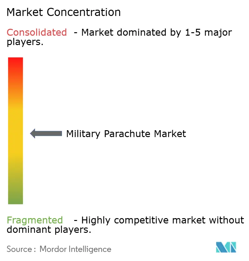 Military Parachute Market Concentration