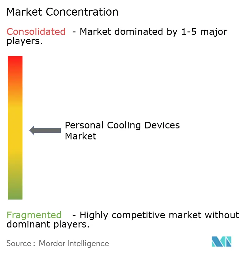 Personal Cooling Devices Market Concentration
