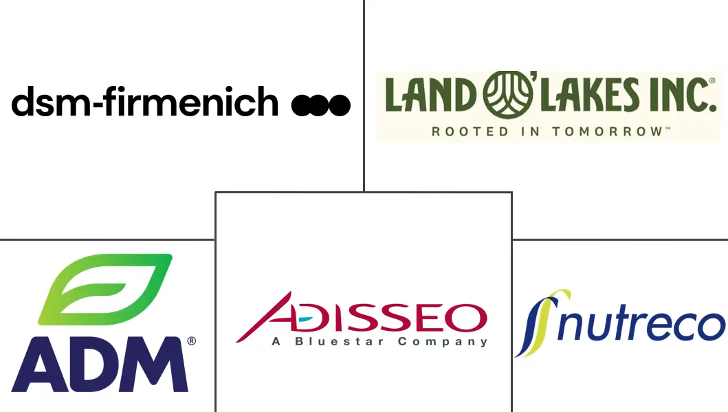 Major players in United States Feed Additives industry